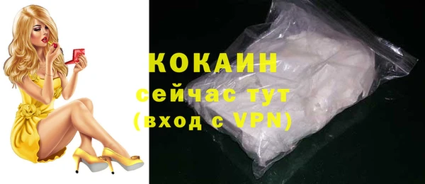 спайс Кулебаки