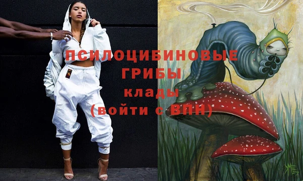 спайс Кулебаки