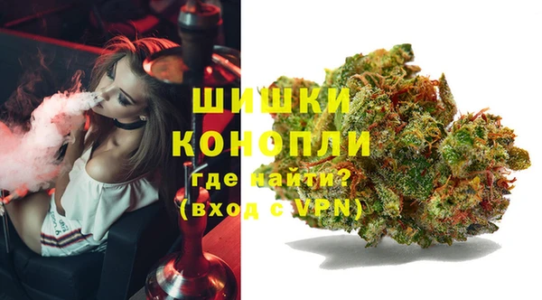 спайс Кулебаки