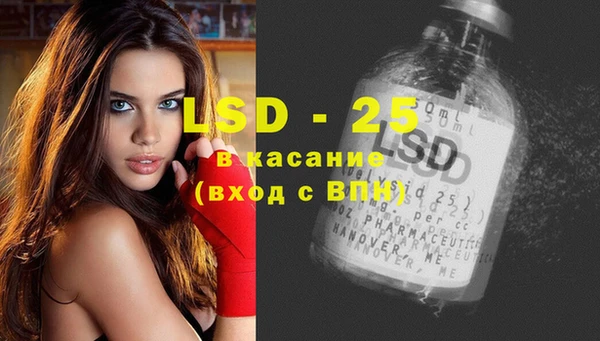 спайс Кулебаки