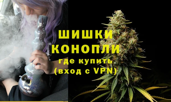 гашик Куйбышев